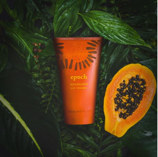 Epoch Sole Solution - Nu-business.life