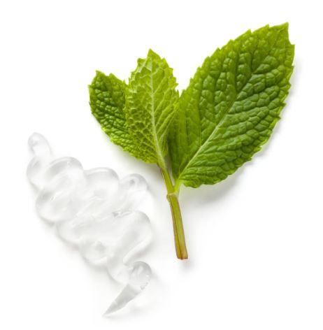 Ingredient from Epoch IceDancer is, among other things, mint.